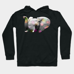 Elephant Disco Hoodie